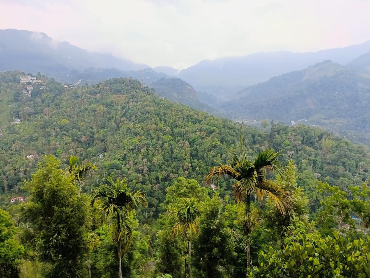 Grace Munnar Residency Panzió Kültér fotó